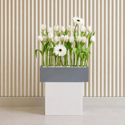 Tulips Box