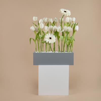 Tulips Box