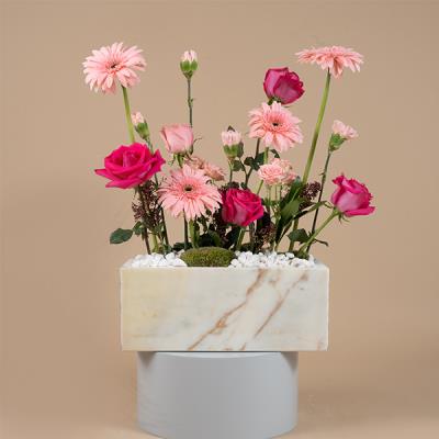 Shades of Pink