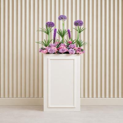 Allium Pillar