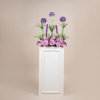 Allium Pillar