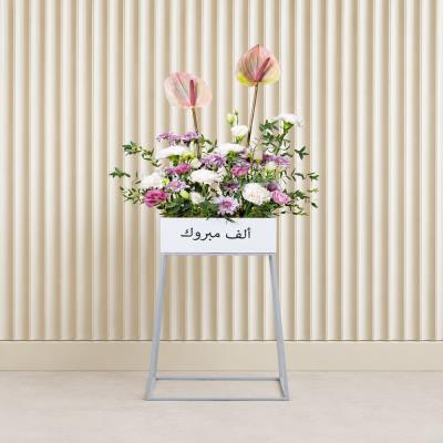 Stunning Anthurium