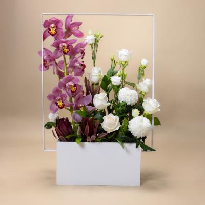 Cymbidium Pride