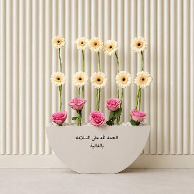 Analogous of Gerbera