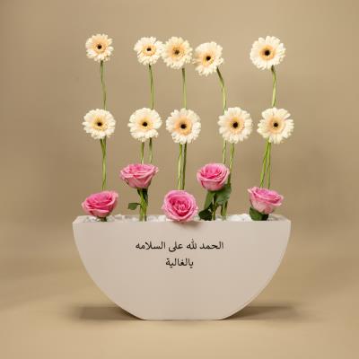 Analogous of Gerbera