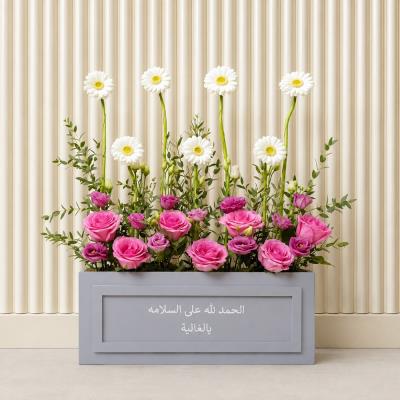 Gerbera Show Up