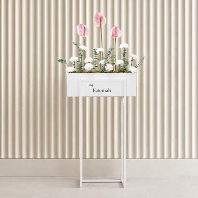 Escalate Anthurium