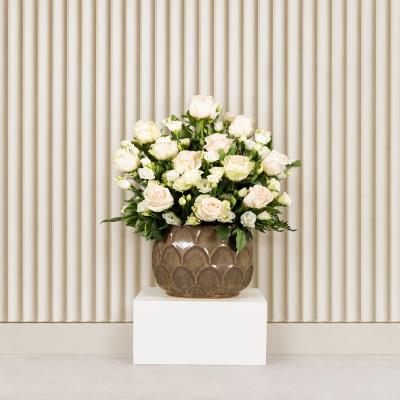 Divine Roses