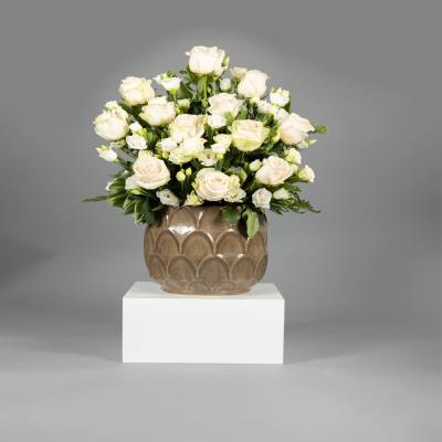 Divine Roses