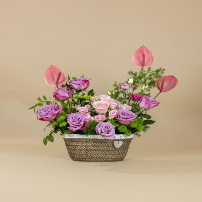 Beautiful Pink
