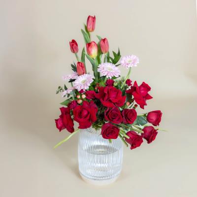 Gerbera Blowing Love