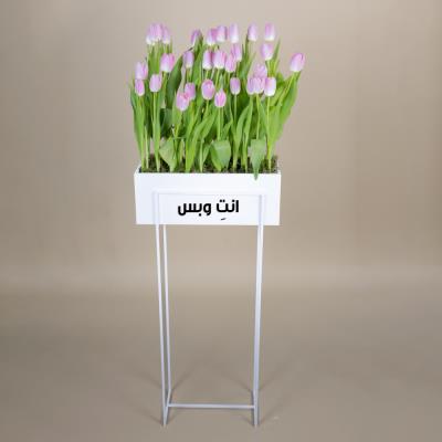 Tulips Brigade
