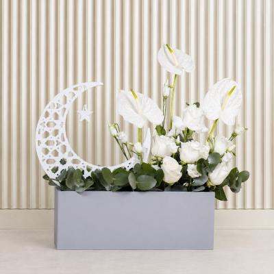 Crescent Anthurium