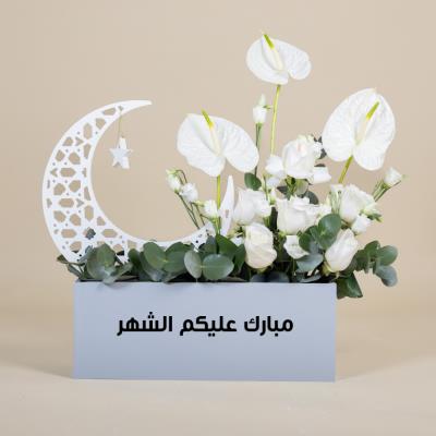 Crescent Anthurium