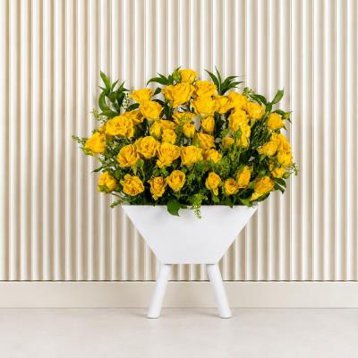 Innocent Yellow