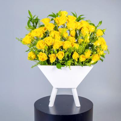 Innocent Yellow