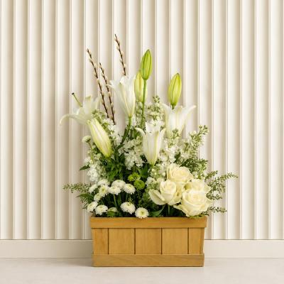 White Present