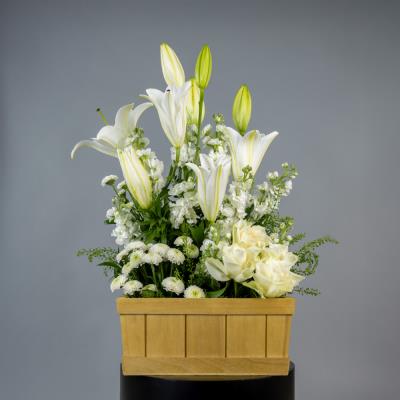 White Present