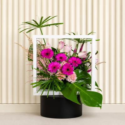 Gerbera Show