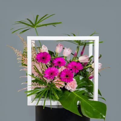 Gerbera Show
