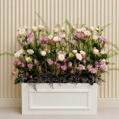 Whimsy Garden
