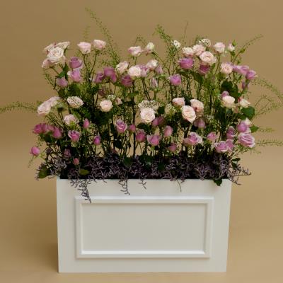 Whimsy Garden