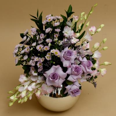 Purple Dream