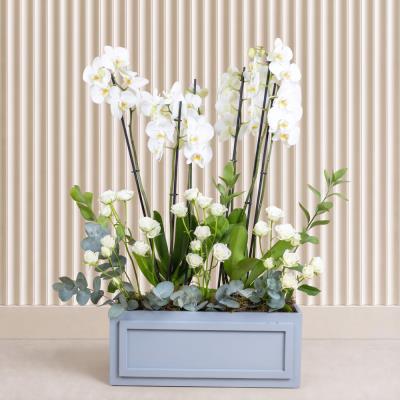 Silver Bloom