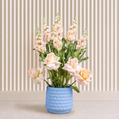 Whisper Bloom