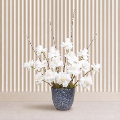 White Grace