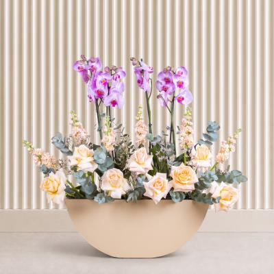 Blush Symphony